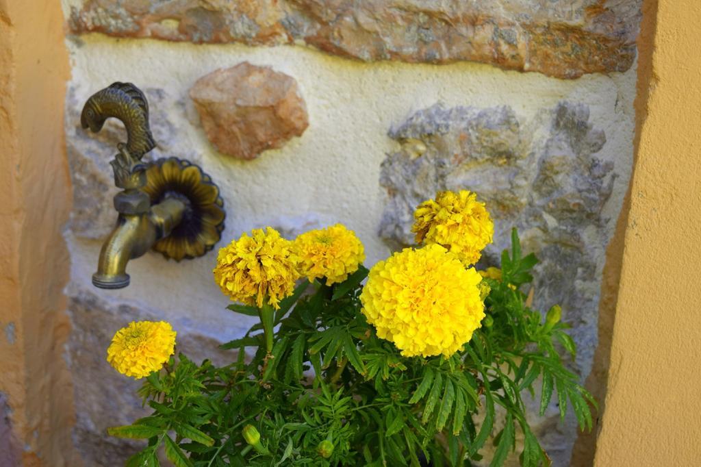 Tilemachos Traditional House Vathy  Bagian luar foto